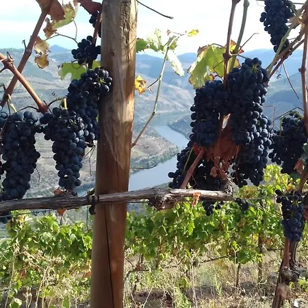 At The Winemaker Frühstückspension Ervedosa do Douro