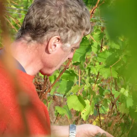 At The Winemaker Ervedosa do Douro