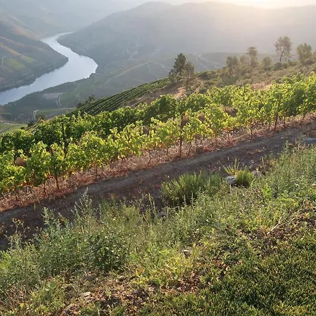 At The Winemaker Bed & Breakfast 3*