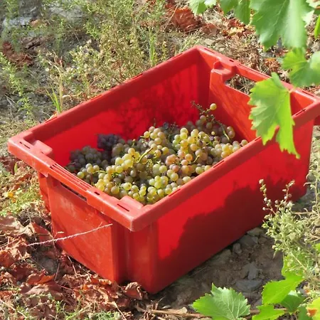 At The Winemaker * Ervedosa do Douro
