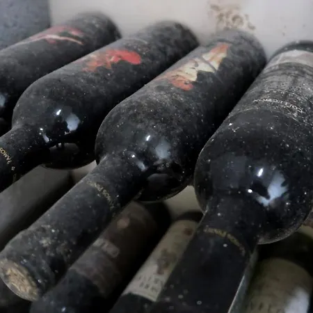 At The Winemaker Bed & Breakfast Ervedosa do Douro