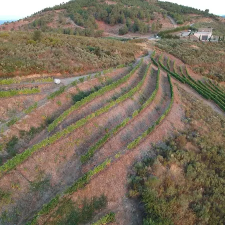 Bed & Breakfast At The Winemaker