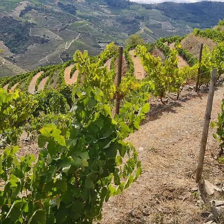 At The Winemaker *