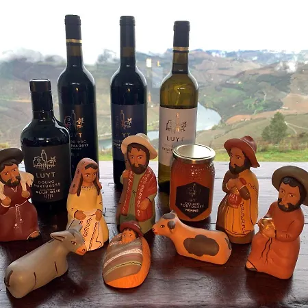 Bed and breakfast At The Winemaker Ervedosa do Douro