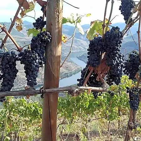 B&B At The Winemaker