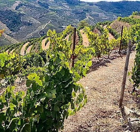 B&B At The Winemaker 3*