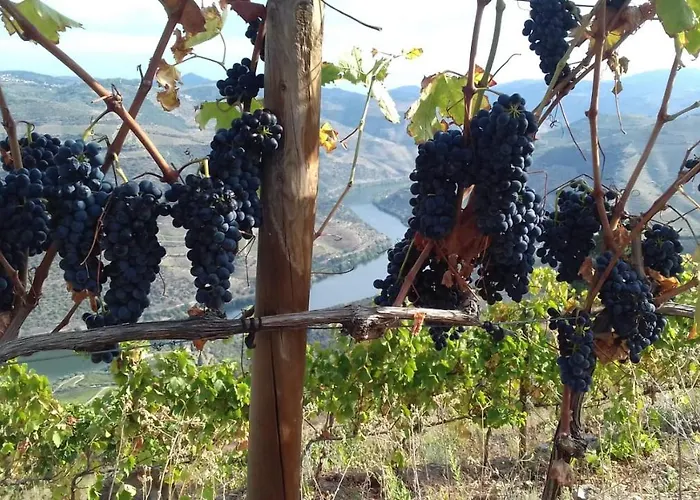 At The Winemaker B&B Ervedosa do Douro