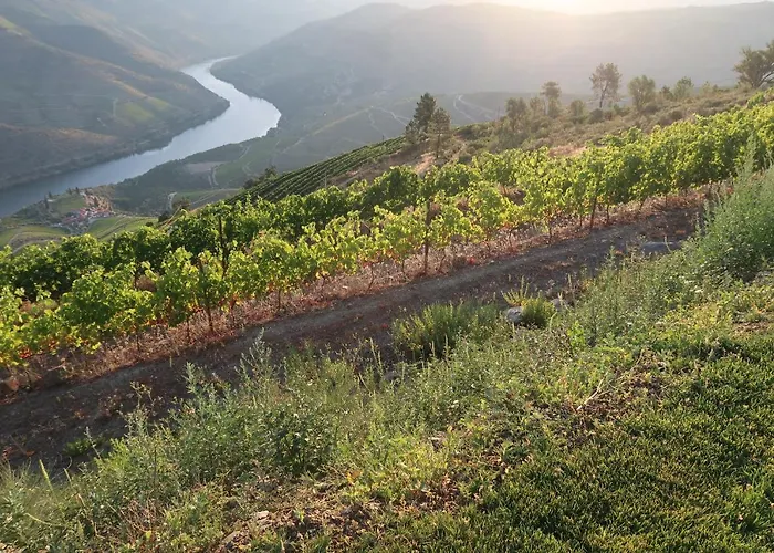 At The Winemaker Bed and breakfast 3*