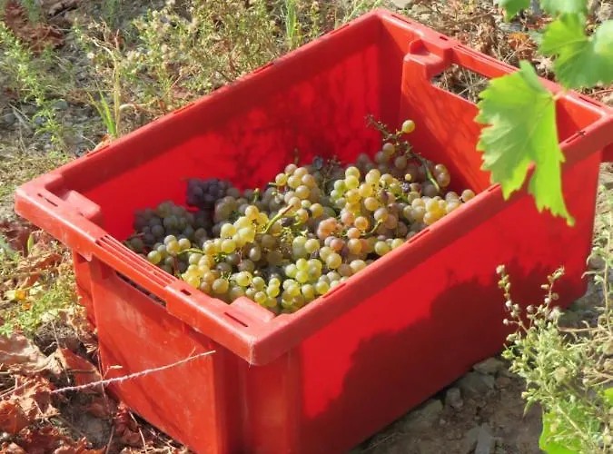 At The Winemaker 3* Ervedosa do Douro