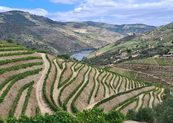 At The Winemaker Bed and breakfast Ervedosa do Douro