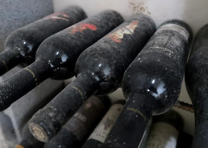 At The Winemaker Bed and breakfast Ervedosa do Douro