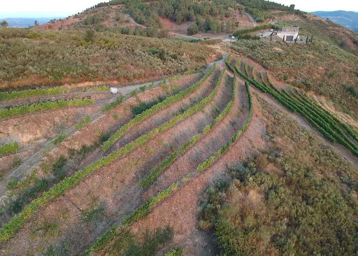 Bed and breakfast At The Winemaker