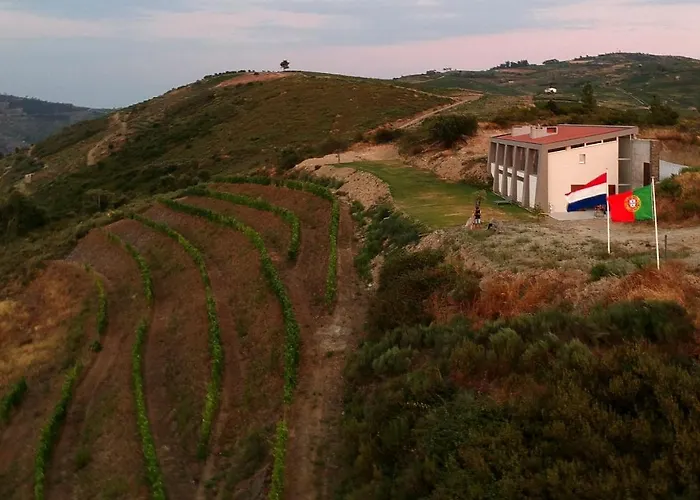 Bed and breakfast At The Winemaker Ervedosa do Douro