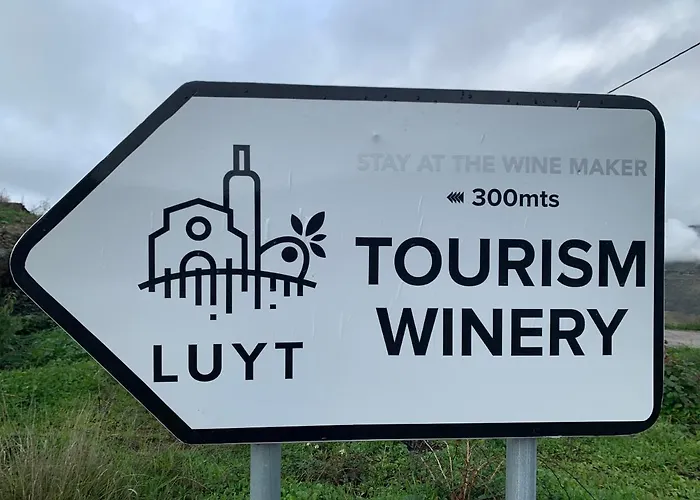 At The Winemaker Ervedosa do Douro